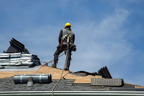 Professional Gutter Installation technician working in Kenbridge, VA